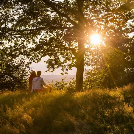 Hotel Albers Schmallenberg