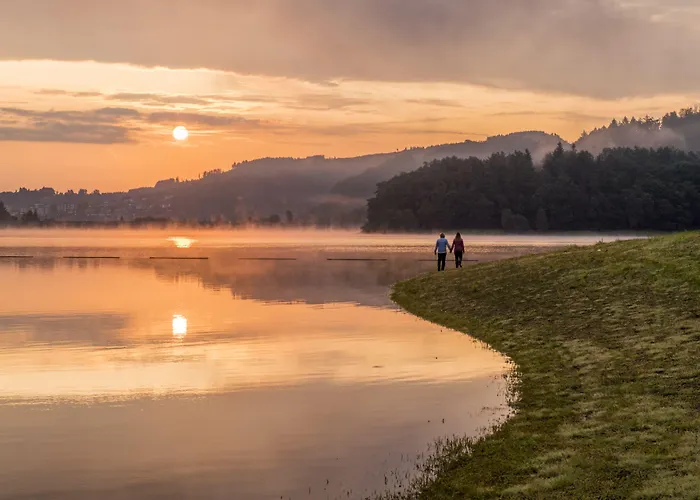Albers Schmallenberg